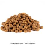 在线看片av免费观看 263fw9