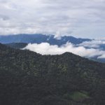 在线的最新免费国产 58ku07i6