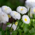 11k手机观看影院 7og5hex