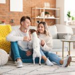 500导航精品视频导航 81xausnu0