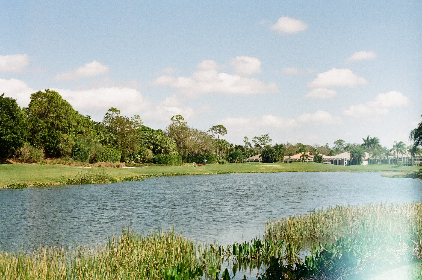 678五月丁香亚洲综合网 678五月丁香亚洲综合网