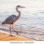 儿子与情人在线观看完整版 do693py2b2