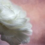 67194 CON第一地址 h6oysl15o6