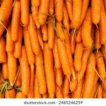 日韩精品欧美视频在线 j11g02no07