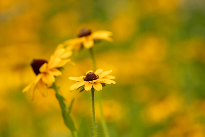 114三级app 114三级app