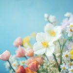 131美女做爰图片 tjw4bw9m