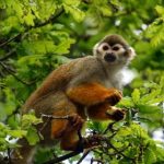 2019天天拍天天爱天天拍 u7dqwpsv2