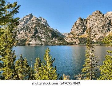 2019年最新限制伦理 2019年最新限制伦理