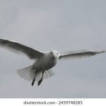 18岁末年禁止在线观看 y2g694