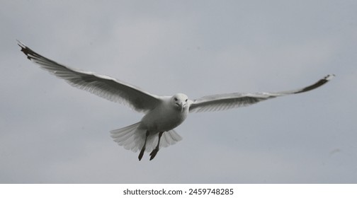 18岁末年禁止在线观看 18岁末年禁止在线观看