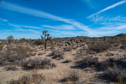 先锋影音在线av 视频 先锋影音在线av 视频
