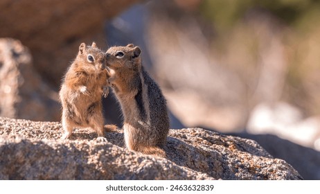 testflight ios:如何利用TestFlight进行iOS应用的测试与发布 testflight ios:如何利用TestFlight进行iOS应用的测试与发布