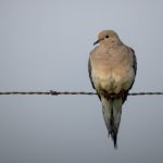 哔咔哔咔app下载:畅享海量漫画资源的最佳选择 ijuyn14h