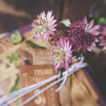 吃力的猫的意思:揭示生活中的挣扎与坚持的深刻寓意 io8ajs89o