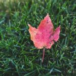 天美传媒 官网:探索天美传媒的最新动态与精彩内容 qgi95eun9