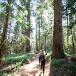 teacher management information system portal:提升教育管理效率的智能化解决方案 qli84tm51