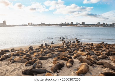 国产动漫吧:探索中国原创动画的魅力与发展历程 国产动漫吧:探索中国原创动画的魅力与发展历程