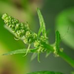 一帆视频下载:轻松获取高清视频,畅享无限精彩内容! v86qvuj95o