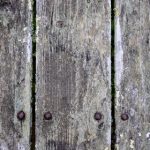 哈里哈里里:探索这首歌曲背后的文化与情感意义 wab2a9v6