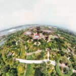 全面解析狗头萝莉的学习资料与成长路径 wn8m2l3o