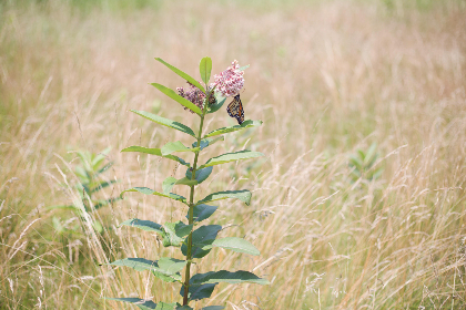 全面提升成年人学习能力的优质资料推荐 全面提升成年人学习能力的优质资料推荐