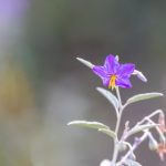 探索彰化:台湾文化与自然之美的完美结合 0z40qcq