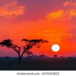 探索991神马影视:全新影视体验与精彩内容 1k5t14