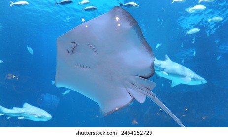 探索海角社区破解版:无限乐趣与全新体验 探索海角社区破解版:无限乐趣与全新体验