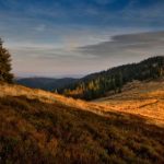 探索ccgg52的潜在应用与发展前景 878lg