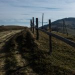 探秘枫可怜车牌号番号背后的故事与意义 93c4vrl96k