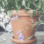 探索亚洲十大必游景点,体验独特文化与风景 a3wu0lsxps