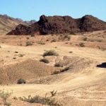 探索绅士漫画网站:畅享多元化的成人漫画世界 c5a5lsgbf