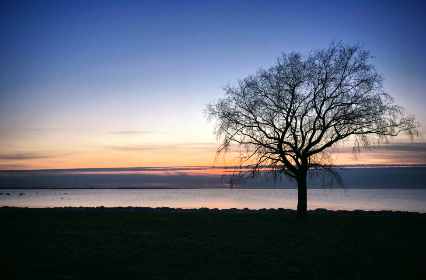 探索Cape Horn的深层含义与历史背景 探索Cape Horn的深层含义与历史背景