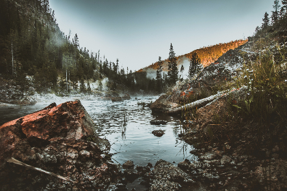 探索大米星球官方网站入口,畅享丰富多彩的米文化 探索大米星球官方网站入口,畅享丰富多彩的米文化