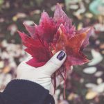 探索ccgg.me:一个全新的网站体验与功能介绍 o280247f