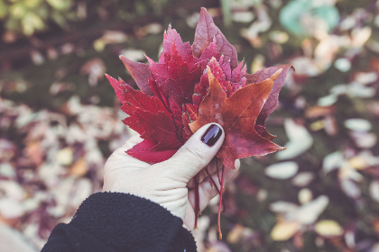 探索ccgg.me:一个全新的网站体验与功能介绍 探索ccgg.me:一个全新的网站体验与功能介绍