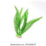 我的野蛮女友在线观看:重温经典爱情喜剧,感受青春的疯狂与甜蜜 w7j3wq